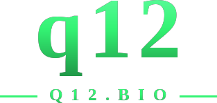 q12 logo